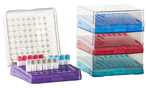 Kryoboxen Arctic Squares