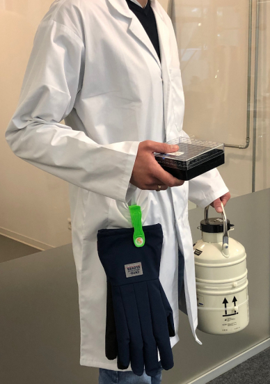 Handschuhhalter - Glove Clip