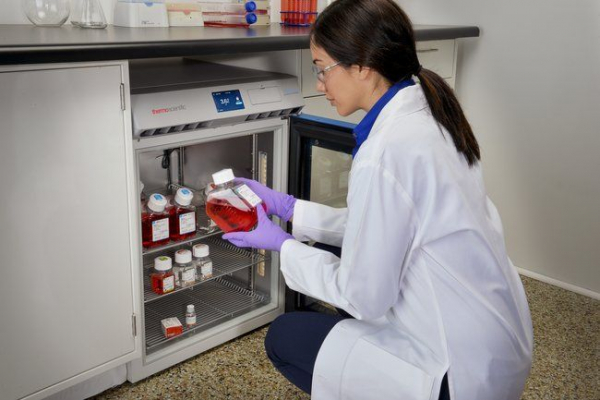 TSX Untertisch-K�hlschrank Labor