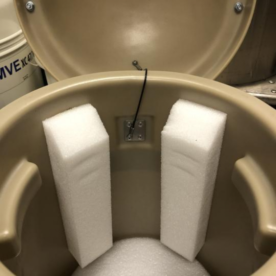 Ersatzschaumstoff f. MVE Transportpilz