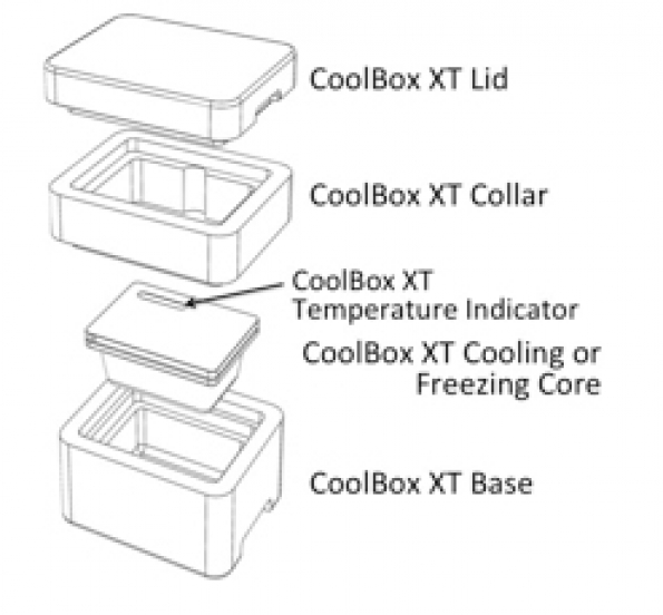 XT Gefrierakku (XT Freezing Core)