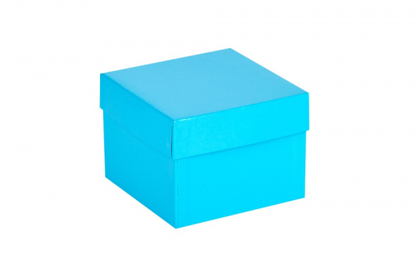 Cryo-Box 136 x 136mm, H�he 75 mm (wasserfest)