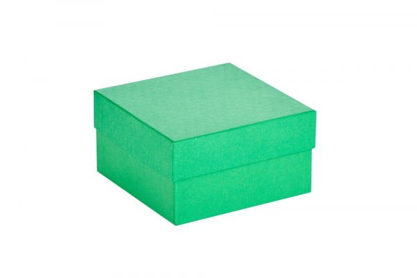 Cryo-Box 133 x 133mm, H�he 50 mm (wasserabweisend)