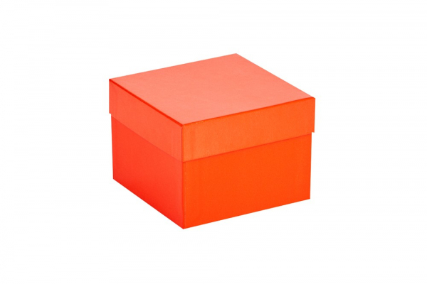 Cryo-Box 136 x 136mm, H�he 100 mm (wasserabweisend)