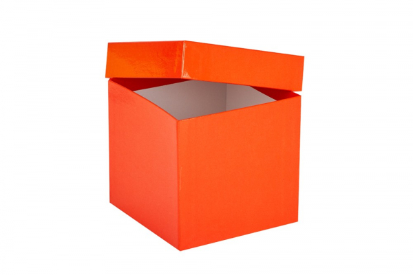 Cryo-Box 133 x 133mm, H�he 130 mm (wasserabweisend)
